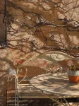 La Bastide des pins - Var Hôtels à : Castellane