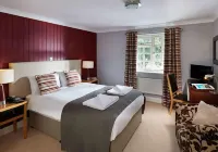 The White Swan Hotels in Arun District