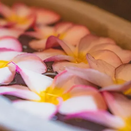 Ayur Ayur Resort & Ayurveda Retreat