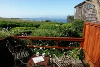 The Inn at the Tides - Ocean View