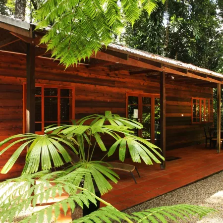 Daintree Cascades