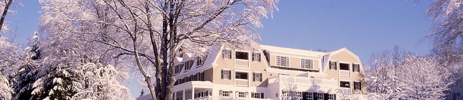 Luxury Hotels