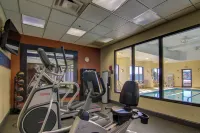 Hampton Inn & Suites Atlanta-Galleria - gimnasio