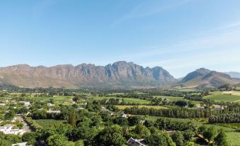 The Last Word Franschhoek
