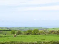 The Old Wainhouse Hotels in Bude