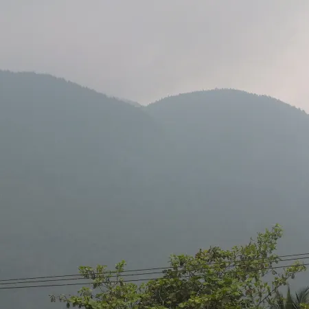 Hillsview Rest and Guest House