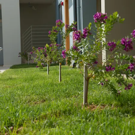 Mantinia Bay Hotel