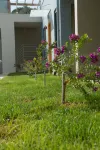 Mantinia Bay Hotel - de playa