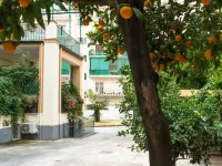 妮多民宿 波蒂奇酒店