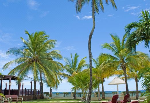 바베이도스 비치 클럽 수영장