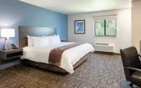 My Place Hotel-Jacksonville-Camp Lejeune, NC