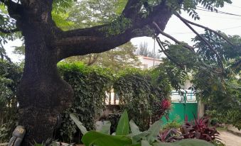 Casa de Ferias