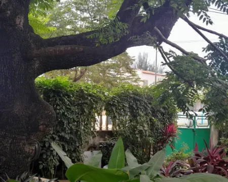 Casa de Ferias Hotels in Sao Tome Island