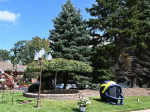 Fellows Creek Lodge Hotels in Canton