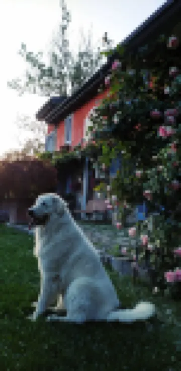 Agriturismo Il Melo Rosso