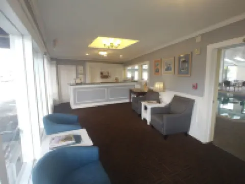 하이애니스 트래블 인