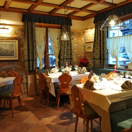 Hotel Alpina