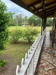 Miss Miriam Beachfront Cabins - 2-Star