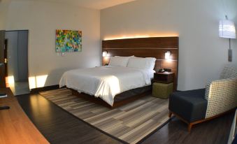 Holiday Inn Express & Suites Seguin