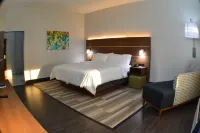 Holiday Inn Express & Suites Seguin Hôtels à : Seguin