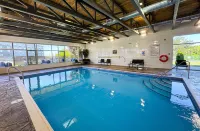 Comfort Suites Kingston Central Hotels in Kingston