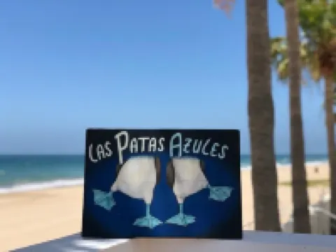 Brandnew beachfront apartment! Great view, private balcony, large shared terrace