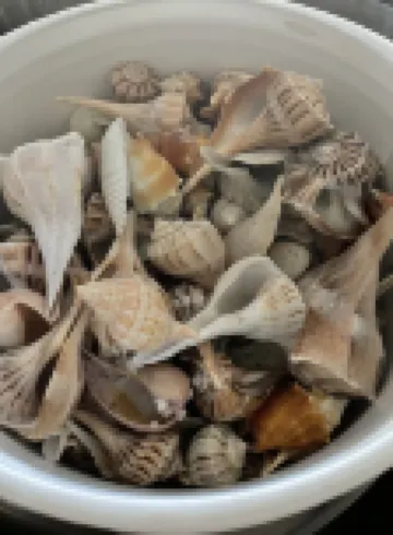 Sundial D310  Charming Beachfront Getaway! Hotels in Sanibel