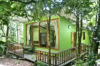 Canopy Wonders House: A Place Among Tree Tops!