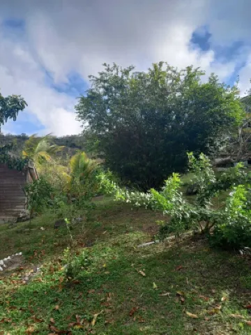 Cappshouse Martinique, sea, mountains, hiking Hotels in Le Diamant