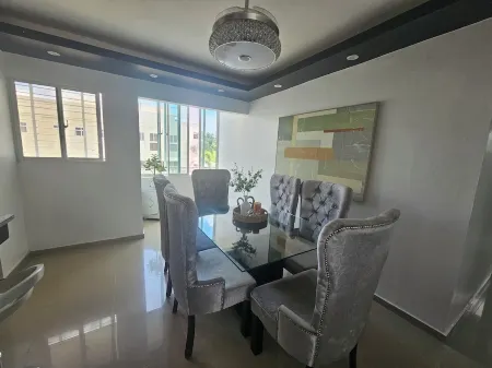 Modern Apartment Downtown SFM/DR