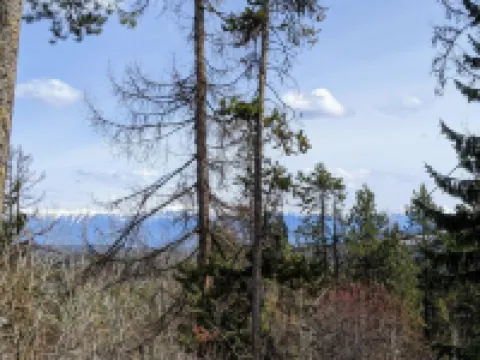 Modern mountain condo on Northstar Mountain licence # STRU 2025-16819 金伯利酒店