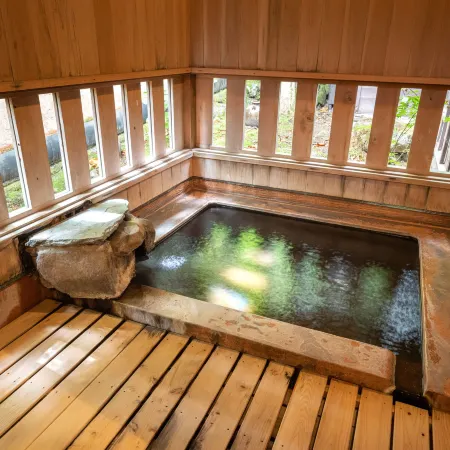 Nihon-No-Ashitaba