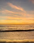 The Molloy - A Boutique Beach Resort - Motels