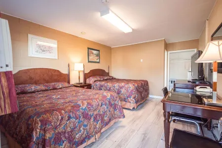 Gold Pan Motel Отели в г. Квеснел