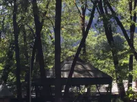 Cedar Lodge Motel فنادق في Dunsmuir