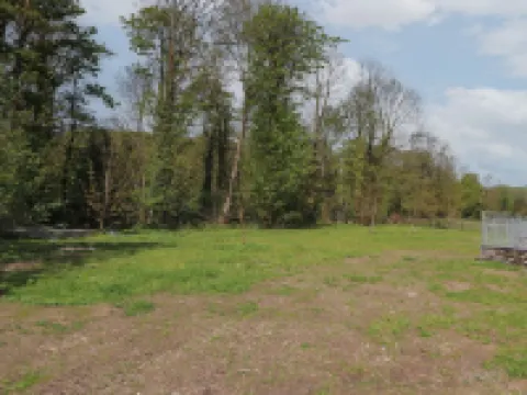 Blackthorn Copse