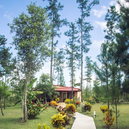 Kane Villas - Mountain Pine Ridge
