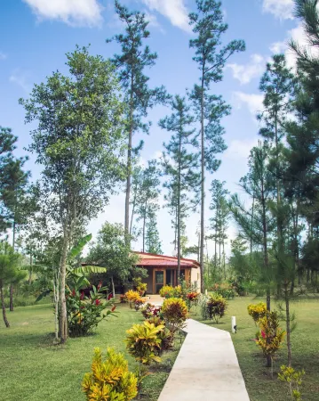 Kane Villas - Mountain Pine Ridge Отели в г. Севен Майлс Эль Прогрессо