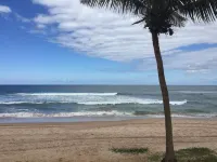 House on the sand Flamengo Beach Hotels near Flamengo Beach