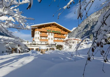 Hotel Bergcristall Отели в г. Нойштифт