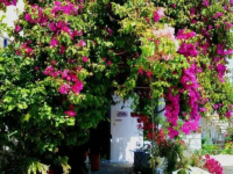 Akteon Rooms Hotels in Lampi