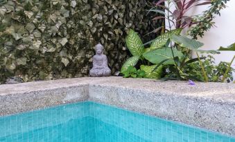 Casajungla Hostel