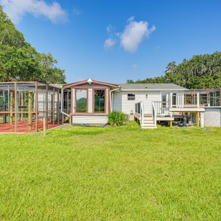 Sleep with Sloths and Lemurs! Modern Webster Home