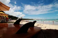Pousada Arriba Pipa - Beach