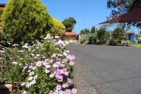 Colonial Motor Inn Pambula Hotels in Pambula