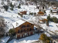 Chalet Mouettes - parking