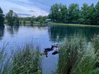 Lovely Farm Cabin Experience