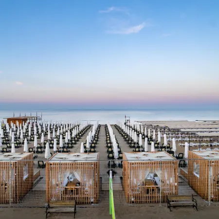 Trendy Verbena Beach