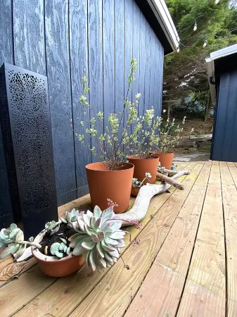 Oceanview Designer Family Home – Walk to Beach, Deck, Firepit, Office, Pets Отели рядом с достопримечательностью «Яхайк Трейл»