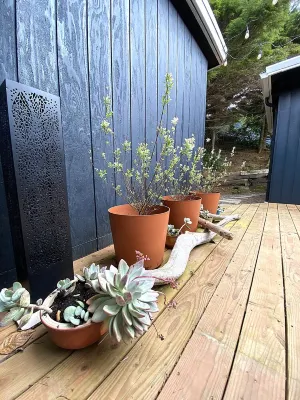 Oceanview Designer Family Home – Walk to Beach, Deck, Firepit, Office, Pets